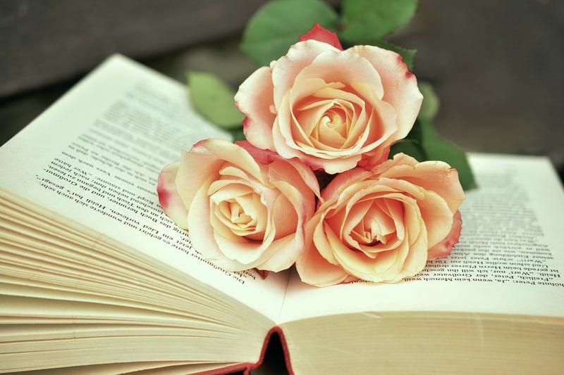Historian's Books
